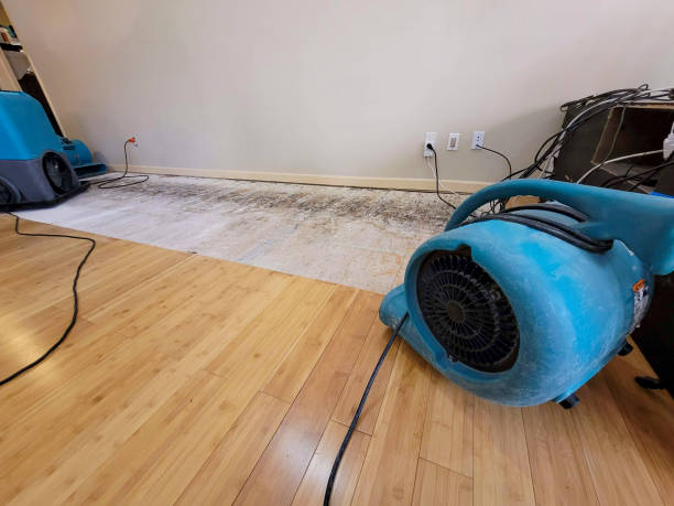 Professional Water Damage Repair technician working in El Reno, OK
